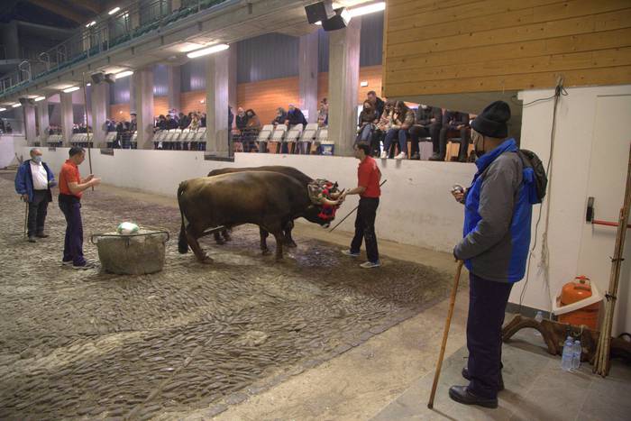 Asador Iruñak irabazi du Azkoitiko San Andres idi dema sariko lehen saioa