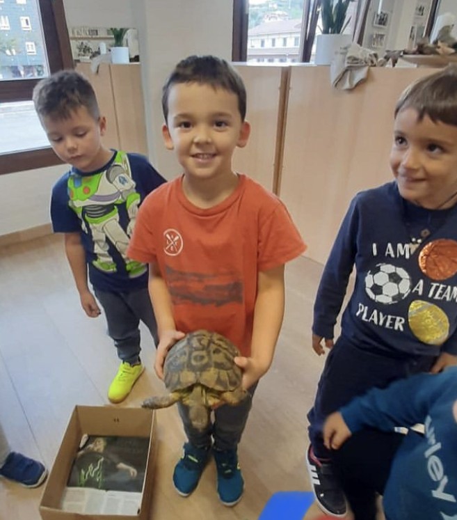 Lubersibika dortoka 🐢🐢🐢
