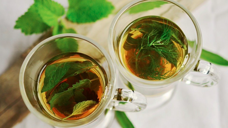 Sendabelarrei buruzko hitzaldia eskainiko du Joseba Gaztañaresek