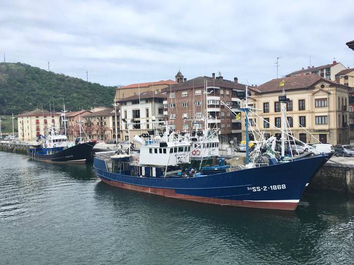 Astelehenean hasiko dute antxoaren kostera