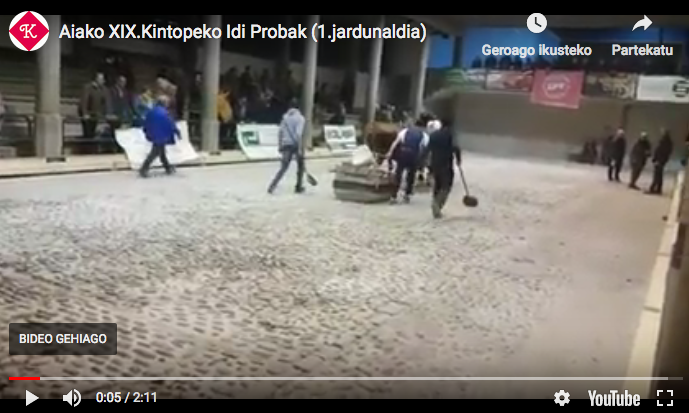 Ipañarrietak lortu du markarik onena Aiako XIX.Kintopeko Idi proben lehen egunean