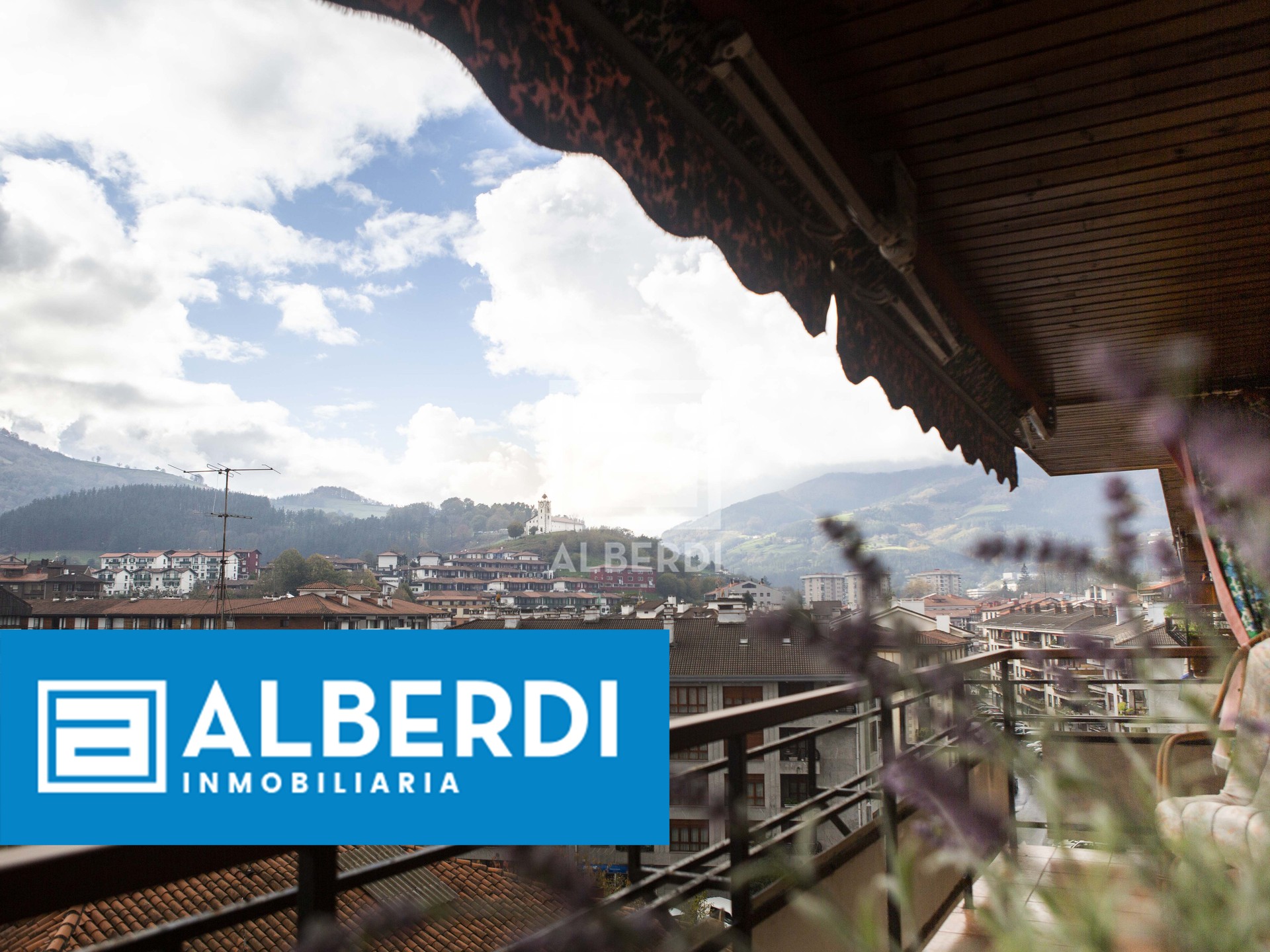 Alberdi Inmobiliaria: prezio jaitsiera Trino Uria Kalean!
