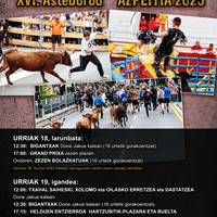 Zezen Beltz XVI. Asteburua