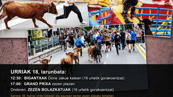 Zezen Beltz XVI. Asteburua