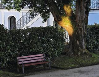 Argi izpia