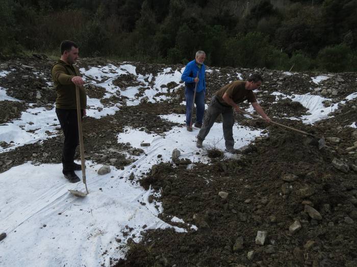 Zumaiako hezeguneak ezagutu eta egokitzeko auzolana izango da larunbatean