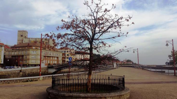 [GUTUNA] Gernikako Arbola