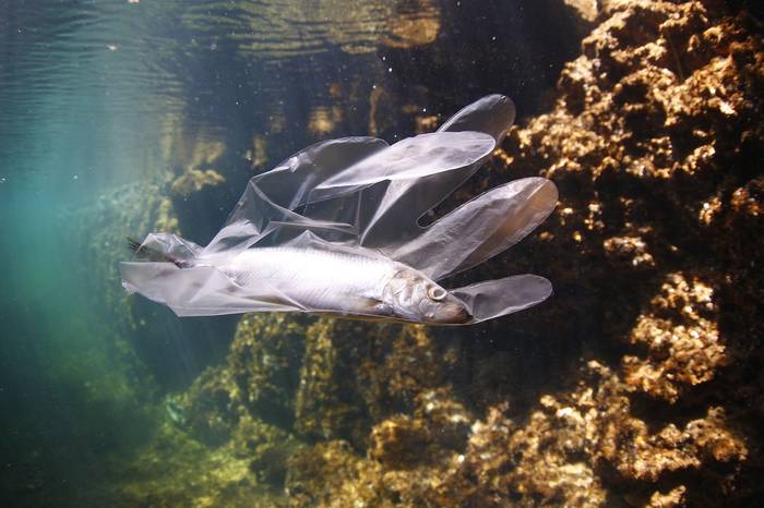 'Un mar de plasticos' dokumentala eta solasaldia eskainiko ditu Arkamurkak ostegunean