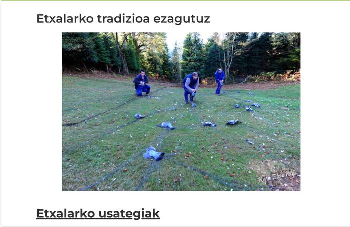 Uda-zkena izan ez dadin