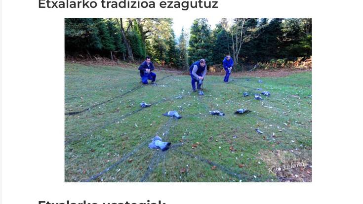 Uda-zkena izan ez dadin