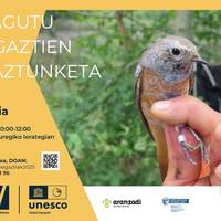 Saioa: 'Ezagutu hegaztien eraztunketa'