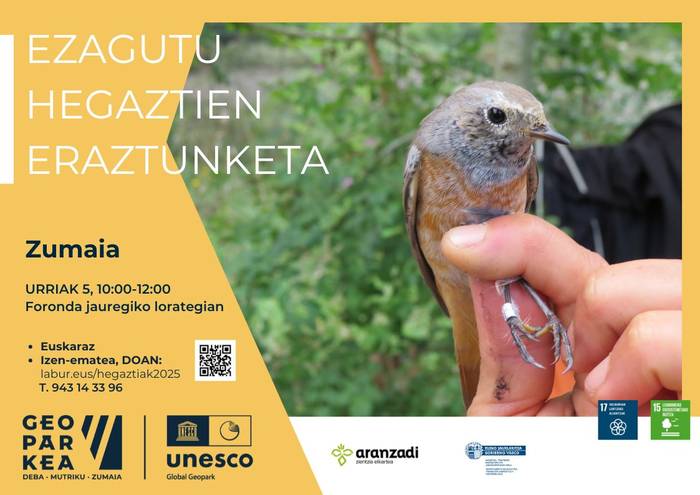 Saioa: 'Ezagutu hegaztien eraztunketa'