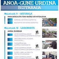 Anoa Gune Urdina