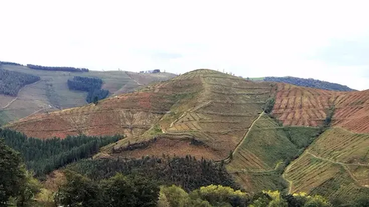 Lurgaiak Lasaoko baso proiektuaren gainean leporatu dizkionak ukatu ditu aldundiak