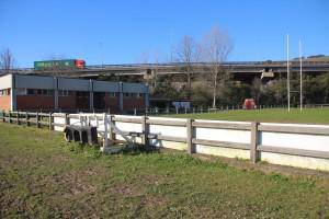 Asti "pribatizatzearen" kontra sinadurak bilduko dituzte Zarauzko Ezker Anitzak eta Equo-k