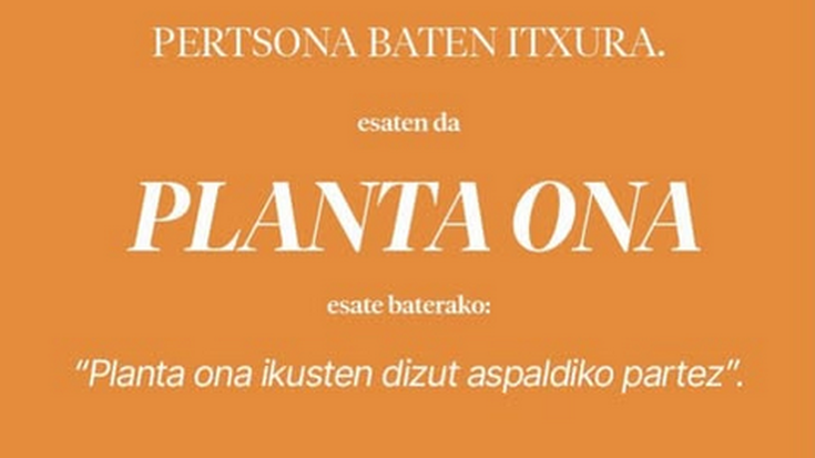 Planta ona