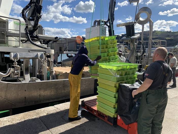 Antxoaren kosterarekin gustura, berdelarekin dute kezka arrantzaleek
