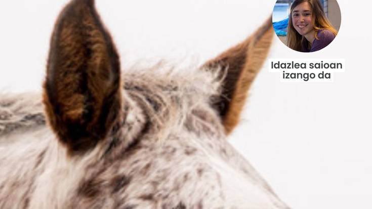 Irakurle taldea: Maddi Ane Txoperenaren 'Zaldi bat'