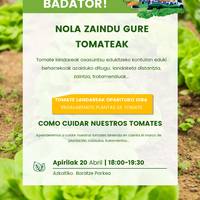 Tailerra: tomateak zaintzen ikasteko saioa