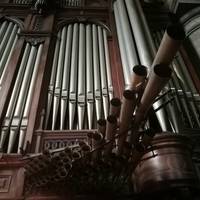 Kontzertua: Organoak Plazara 2026 kontzertua