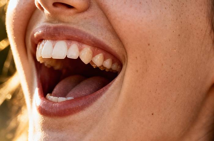 'Argi-ehuleak' izeneko bizipen sormen tailerra egingo dute igandean, Aizarnazabalen