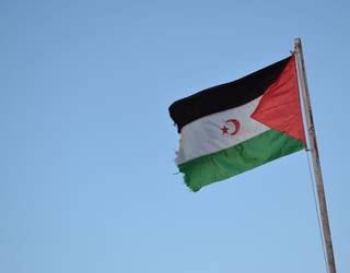 Mendebaldeko Saharari elkartasuna adieraziko diote biharko Isilune Zirkuluan