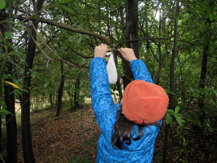 Hegaztientzako jantokiak jarri ziren larunbatean Forondan eta Talaimendi inguruan