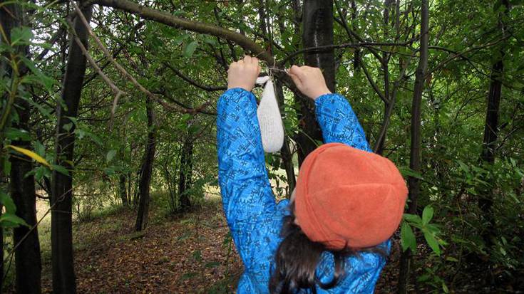 Hegaztientzako jantokiak jarri ziren larunbatean Forondan eta Talaimendi inguruan