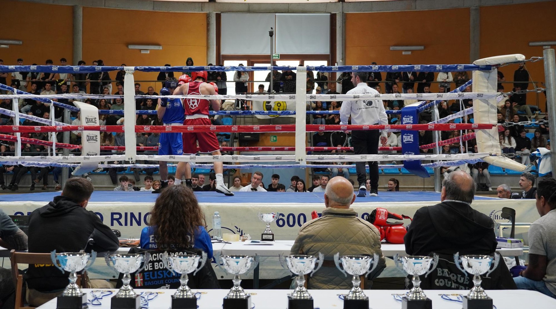 Gipuzkoako Boxeo Txapelketako finala irabazi du Jesus Magnevyk