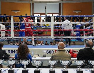 Etxeko boxeolariek emaitza onak lortu dituzte Orion jokatu dituzten Gipuzkoako finaletan