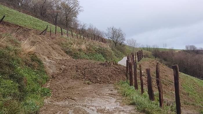 Euriteek luizia eragin dute Pikote inguruan