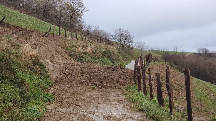 Euriteek luizia eragin dute Pikote inguruan