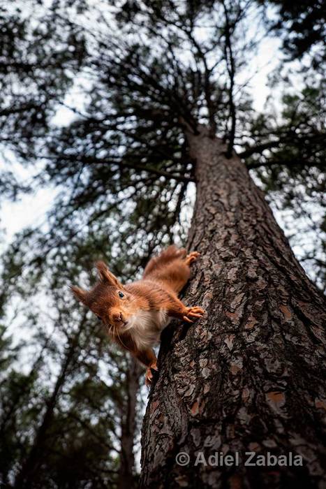 Adiel Zabalaren katagorriaren argazkiak irabazi du urtarrileko 12x12 lehiaketa