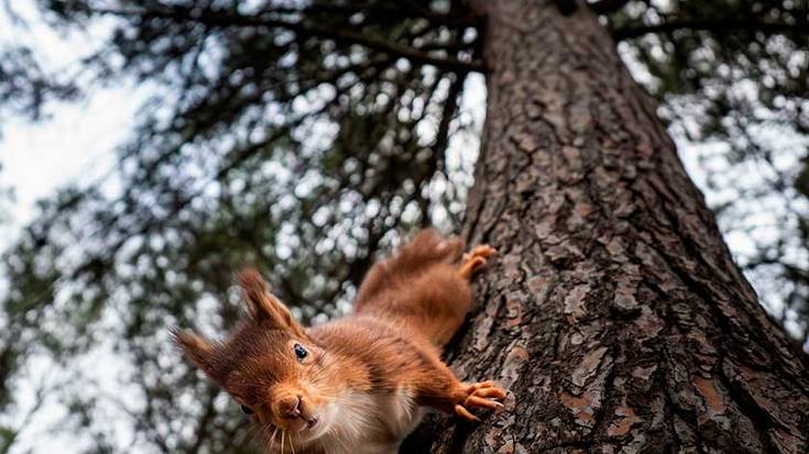 Adiel Zabalaren katagorriaren argazkiak irabazi du urtarrileko 12x12 lehiaketa