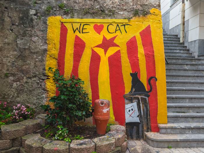 We ere ❤ CAT