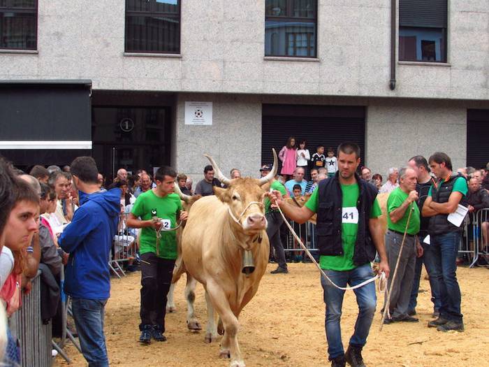 Ordiziako azoka berezitik iritsi dira sariak eskualdera