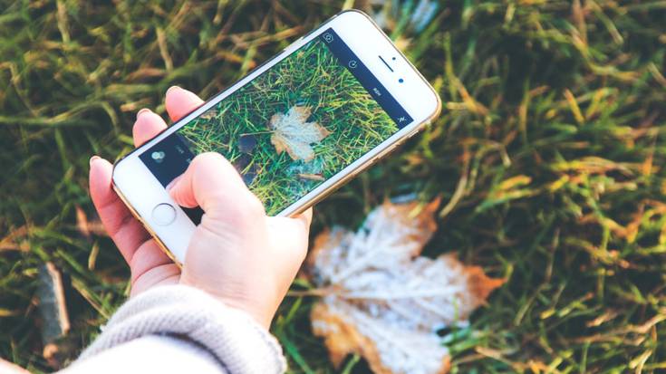 Mugikorrarekin naturari argazkiak ateratzeko tailerra egingo da larunbatean