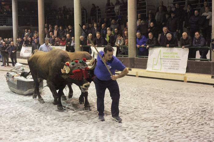 Gaur hasiko da Kintopeko XXII. Idi Dema Saria Errezilen