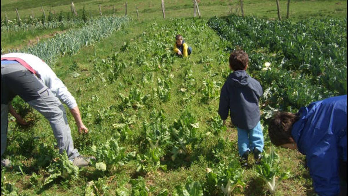 Baserritar Misto Profesionala programaz informatzeko saioak antolatu ditu aldundiak