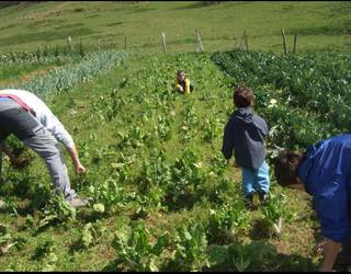 Baserritar Misto Profesionala programaz informatzeko saioak antolatu ditu aldundiak