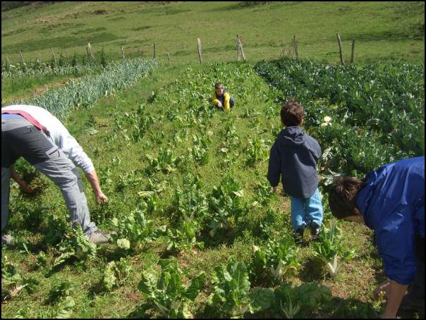 Baserritar Misto Profesionala programaz informatzeko saioak antolatu ditu aldundiak