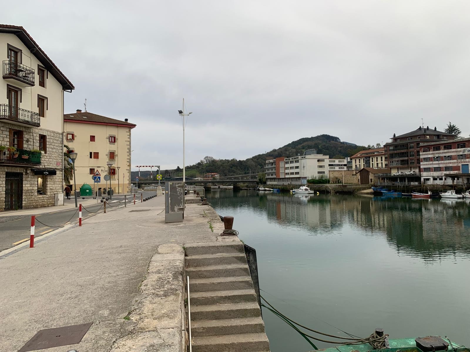 Euskararen pedigria