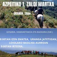 Zaldi martxa
