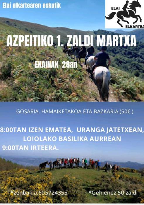 Zaldi martxa