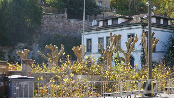 Erkibe etxeko lorategia txukuntzen ari da udala
