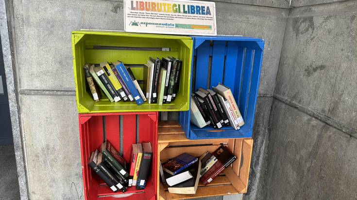 Filmak gehitu dituzte liburutegi libreetara