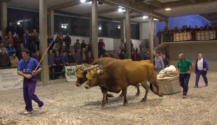 Bihar hasi eta azaroaren 4a arte Kintopeko probak izango dira Aian