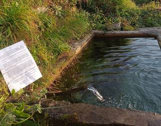 Uraren Euskal Agentziari zuzendutako erreklamazioa