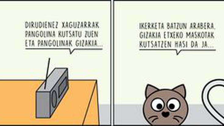 Katu-kate trofikoa, Enoken zintan