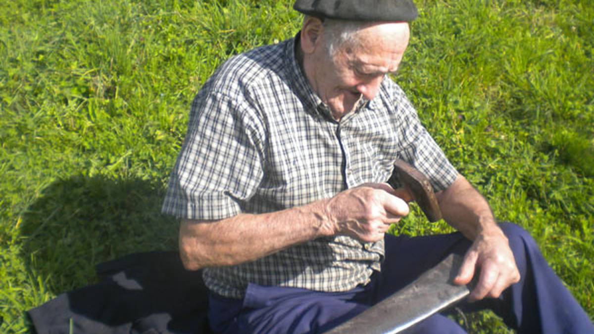 Antigoaleko Hiztegia: 'Pikatu', 'Uztao', 'Arrastelu, eskuare', 'Konfit, urineko', eta 'Pustilla, zarakar'